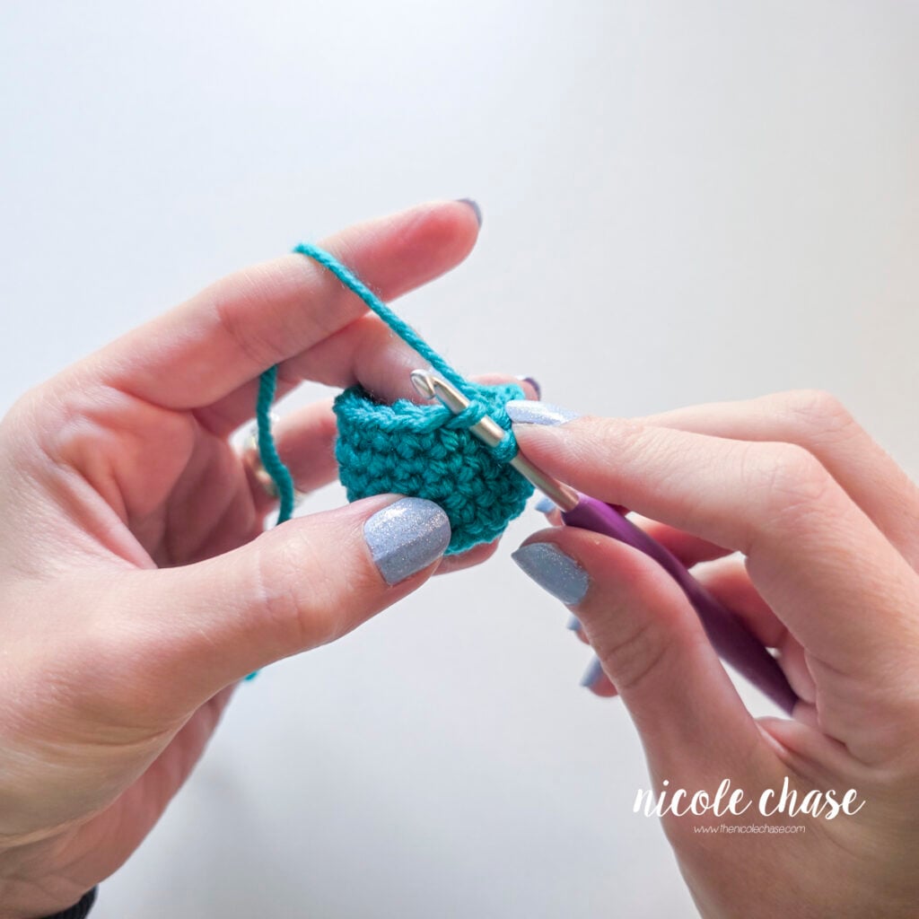 Crochet hook inserting under the front loop only of the first single crochet stitch.