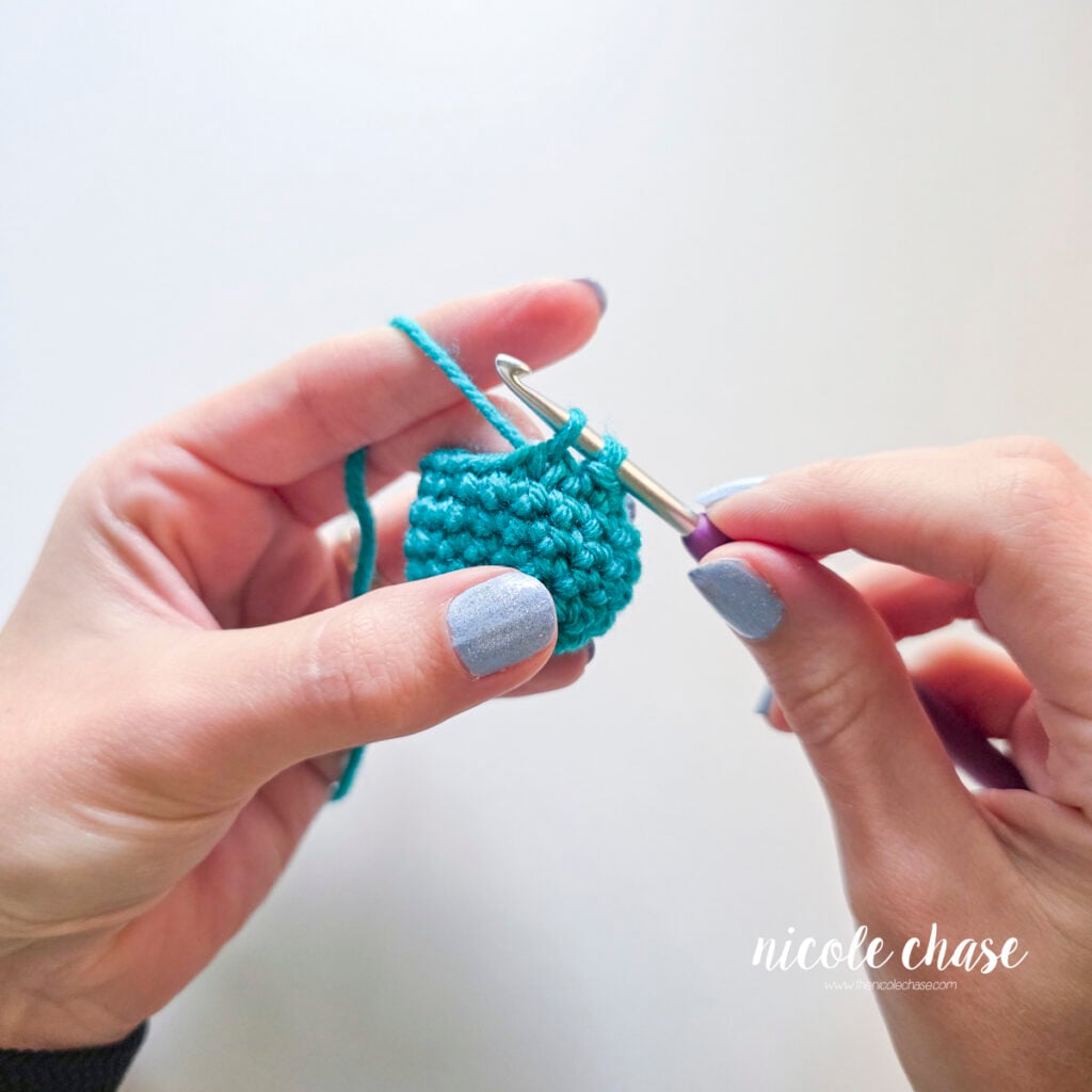 The yarn has been pulled through the two front loops on the hook, leaving two lops remaining on the hook.