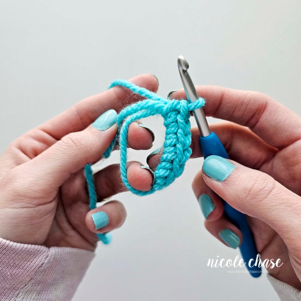 The magic ring with 6 single crochet stitches worked into it, prior to tightening the loop.