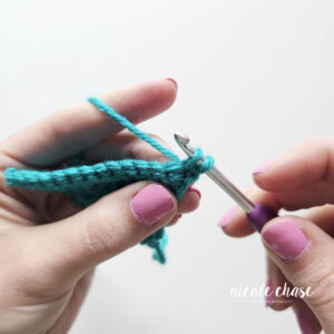 How to Increase and Decrease in Single Crochet (SC2tog)