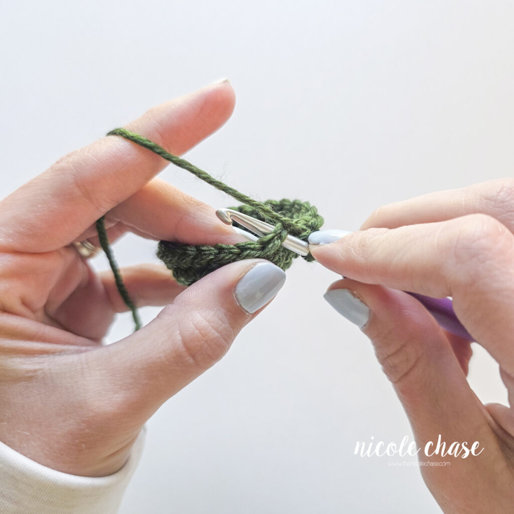 The crochet hook has been inserted under both loops of the next stitch of a green crocheted piece, to start the slip stitch.