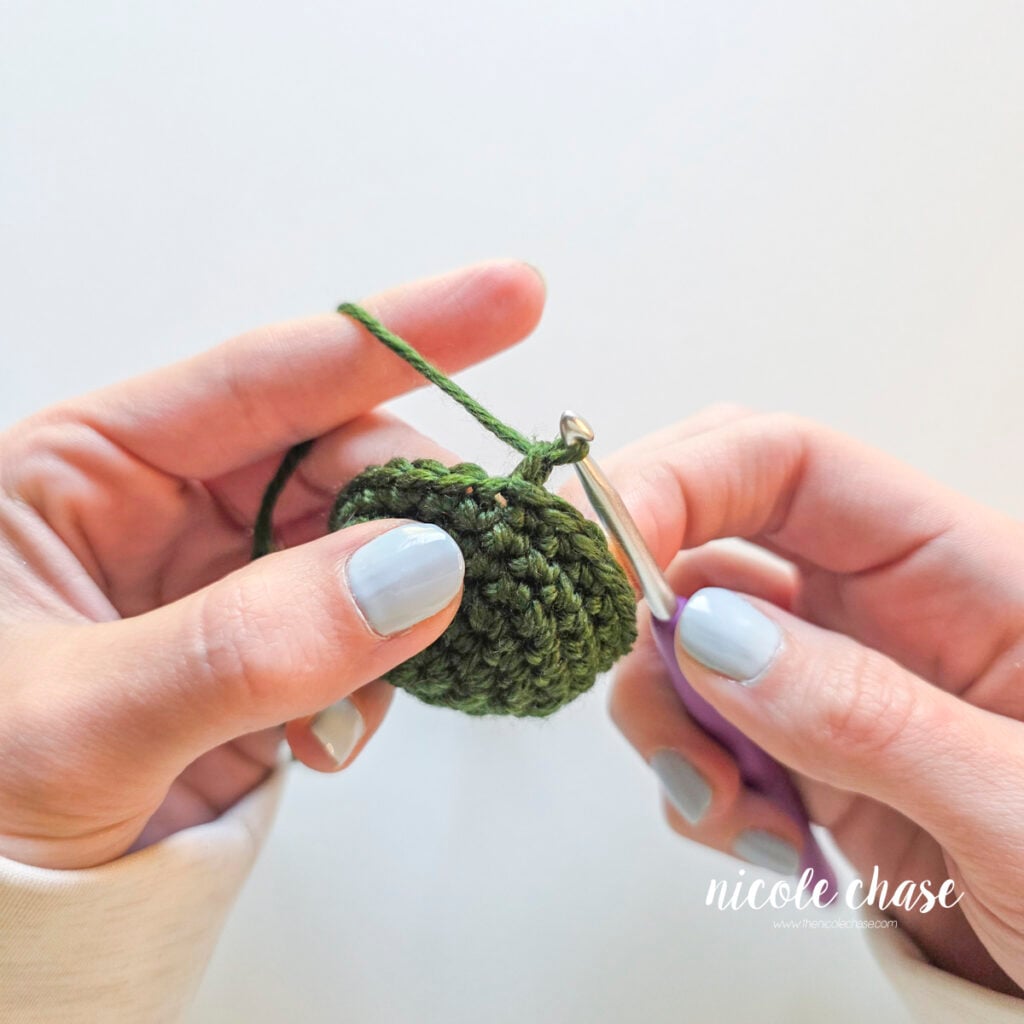 Pulling the cut yarn tail through the working loop on a crochet hook.