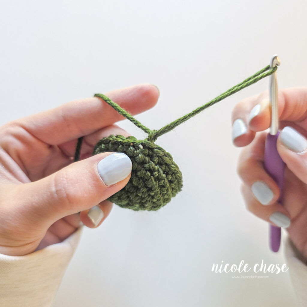 Continue pulling the yarn tail completely through the working loop, lifting the crochet hook clear of the stitch.