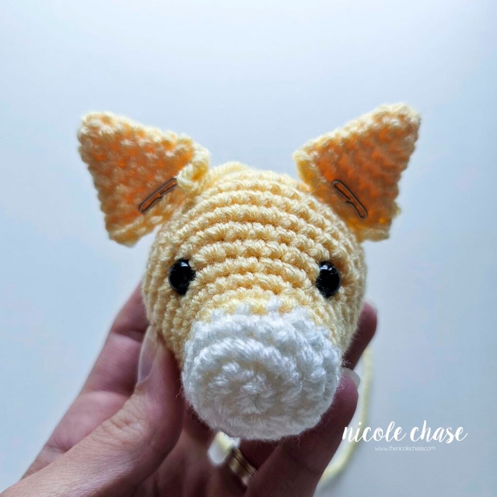 Ears being held in place with pins on top of the cat's head. 