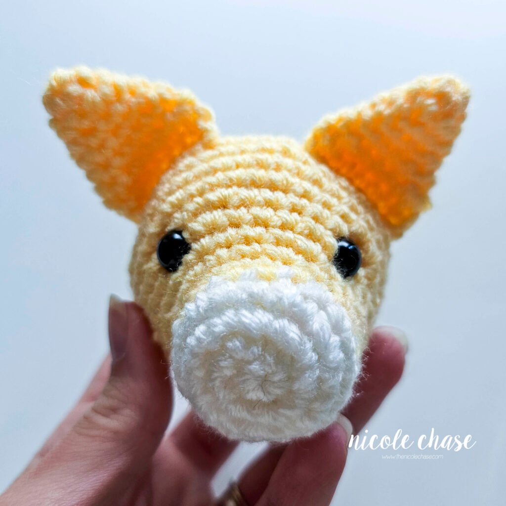 Ears sewn in place onto the cat's head. 
