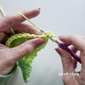 Double Crochet Decrease (DC2tog) & DC Increase Tutorial