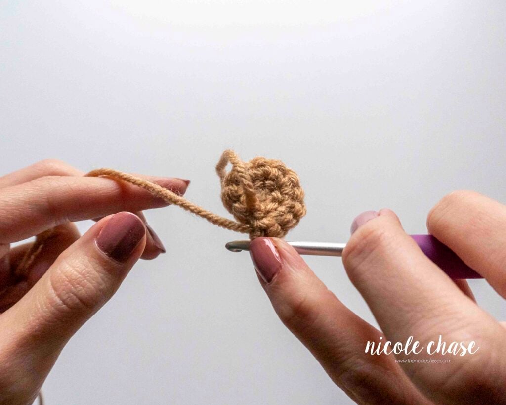 Close-up showing the wrong side of the crochet piece with the yarn tail from the magic ring visible on this side, and diagonal dash bars for the stitches.