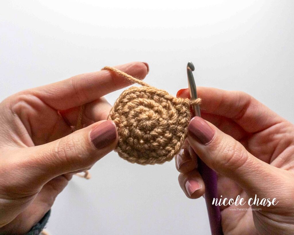 The amigurumi piece has been flipped and is now curving in the right direction, with the right side of the stitches showing on the outside of the piece.