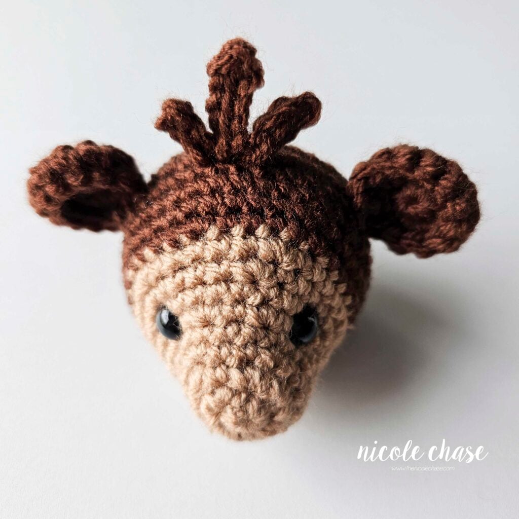 A front view of the crochet hair sewn in place on the top of the monkey's head. 