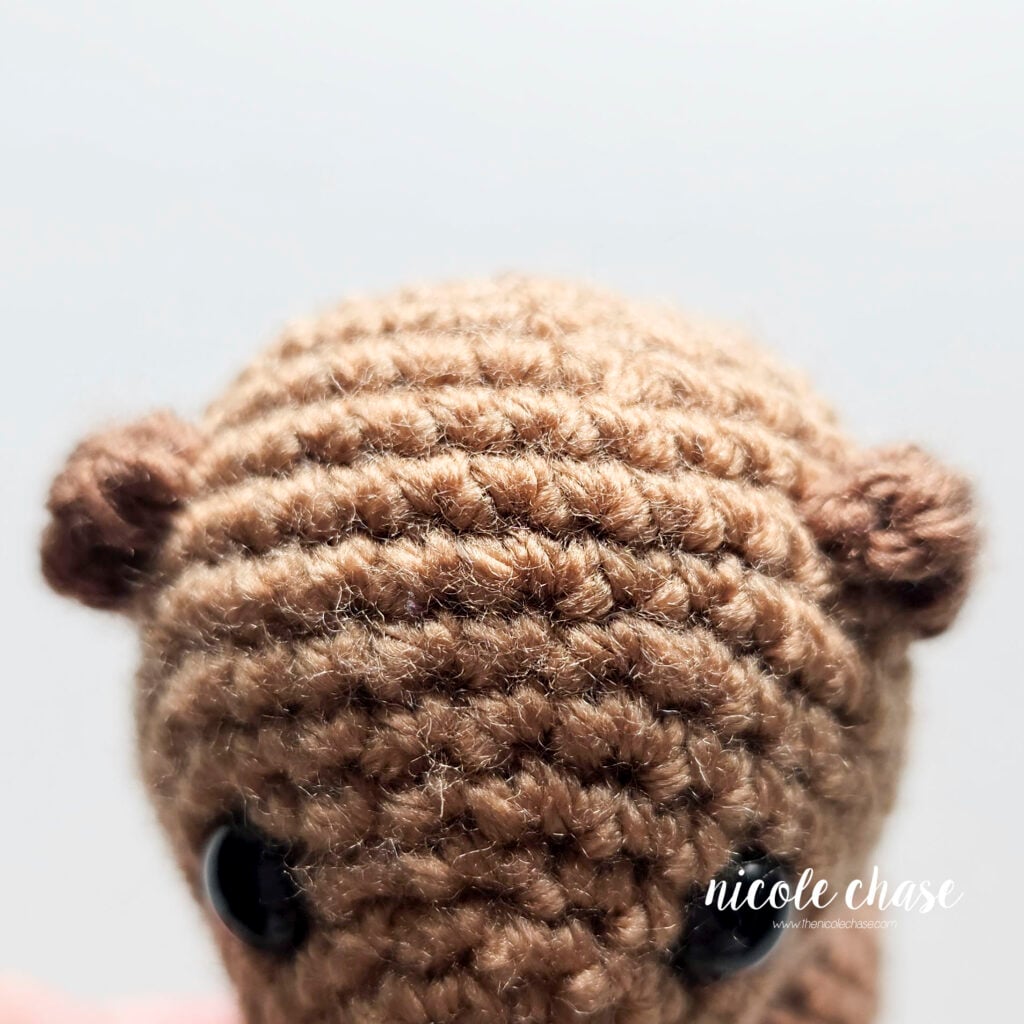 A top down view of the head of the crochet otter, showing the placement of the two brown ears sewn in place.