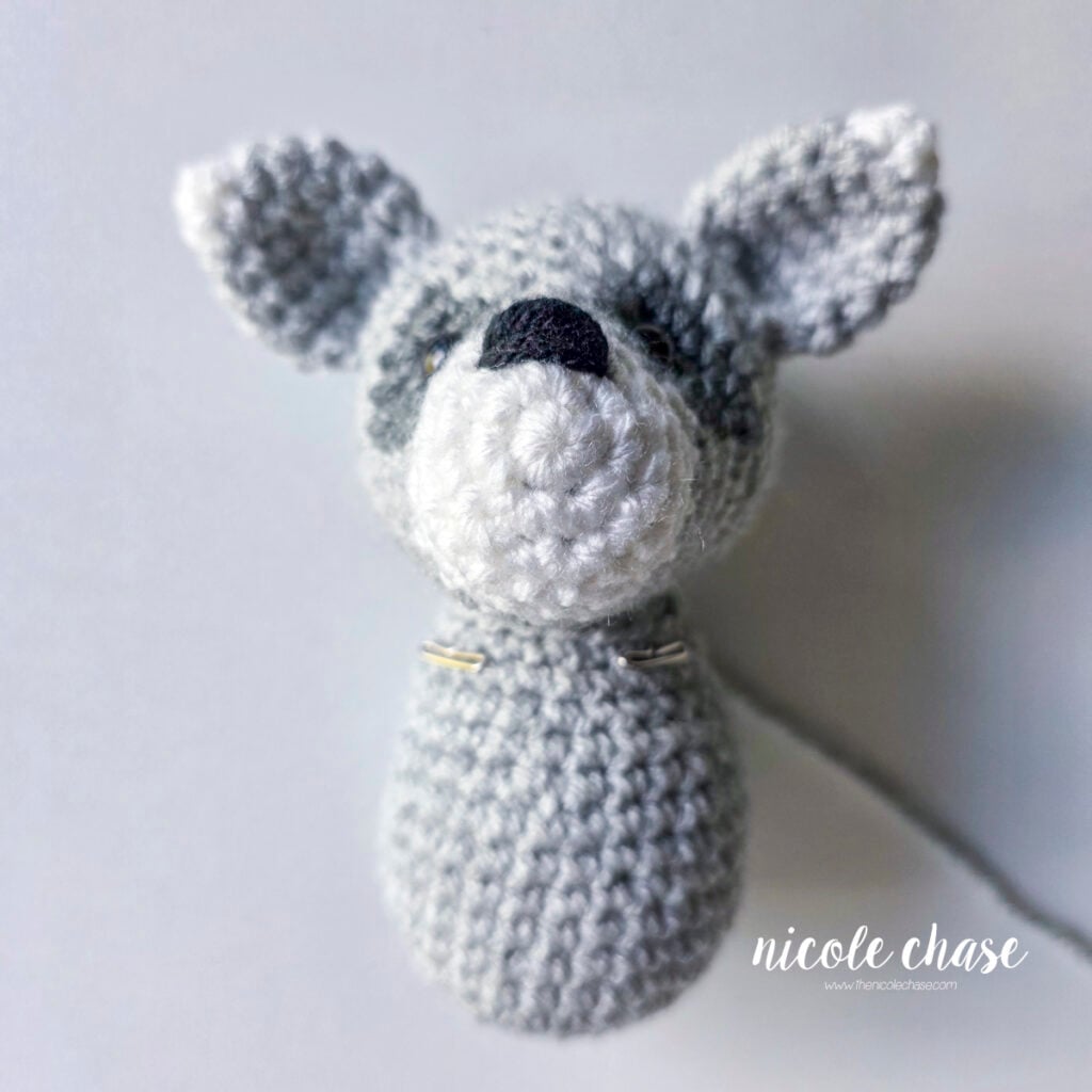 The body has been pinned to the bottom of the head of the crochet raccoon and is awaiting sewing. 