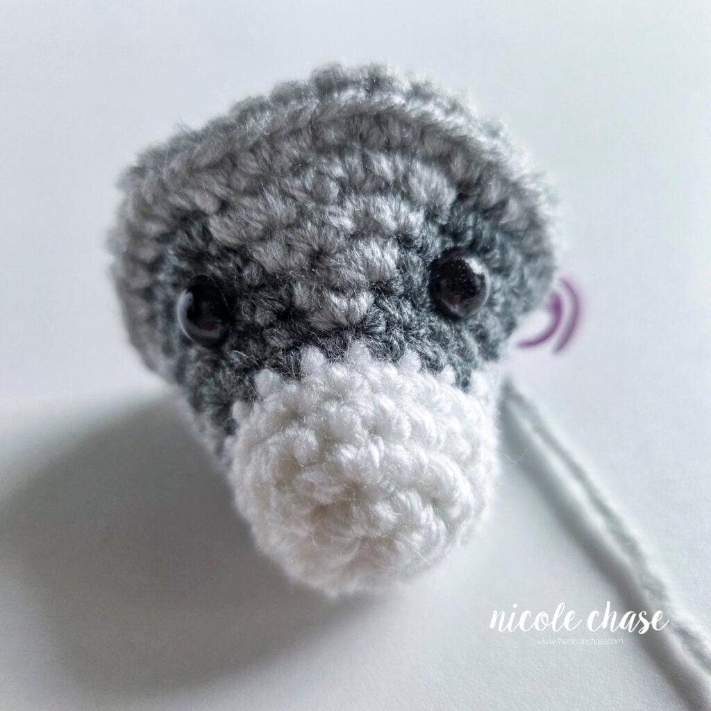 The amigurumi raccoon head after R11, showing the proper placement of the black safety eyes between R8-9, with about 5-6 sts between each eye, placed in each eye patch color change.